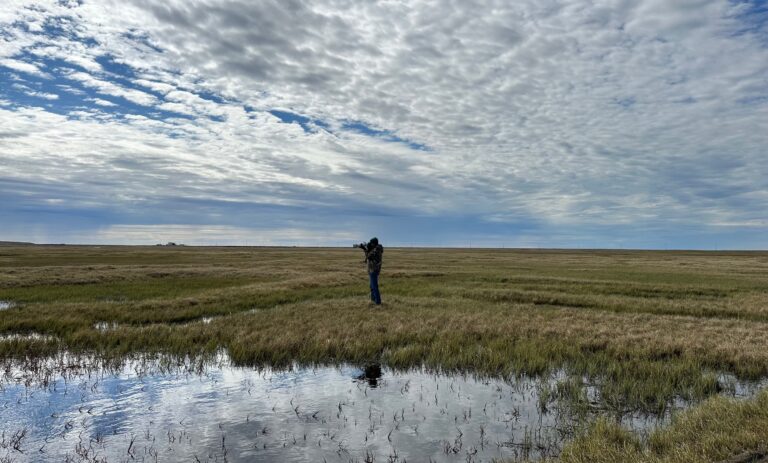 Birding Barrow – Definitely Worth It