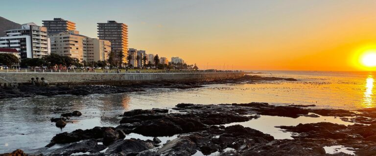 Birding the Western Cape